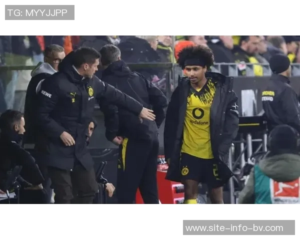 凯尔就阿德耶米非法武器事件发表声明承认错误并承诺不再重犯